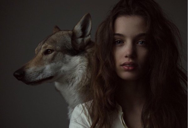 Волчица девушка