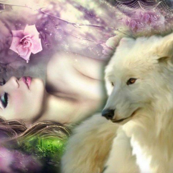 Волчица девушка