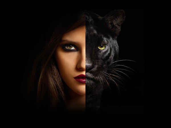 Пантера девушка