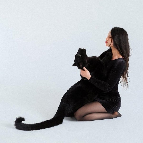 Пантера девушка