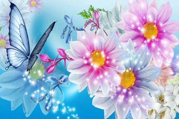 flowers and butterfly