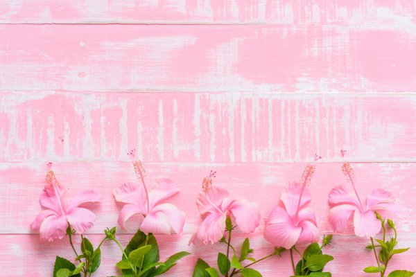 розовая фон