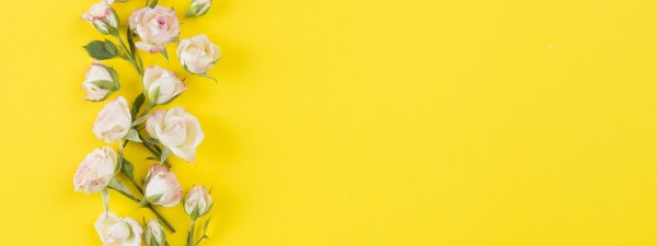 цветочные фоны для открыток