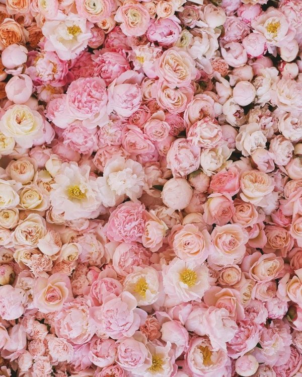 цветочная стена