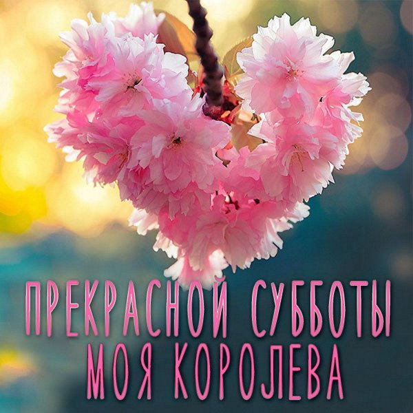 хорошего субботнего дня