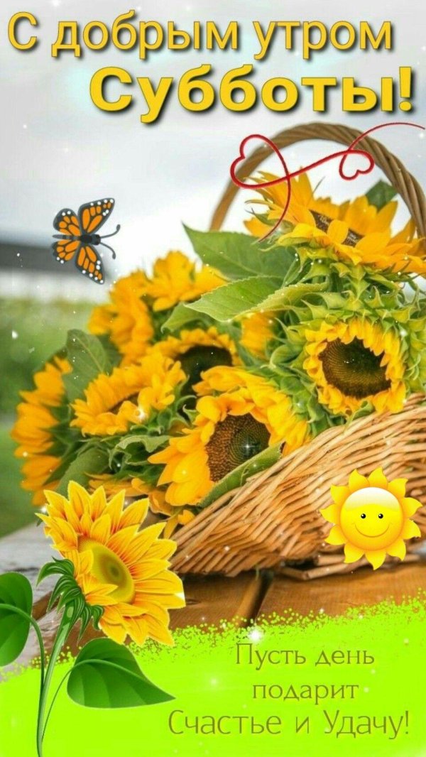 доброе утро суббота август