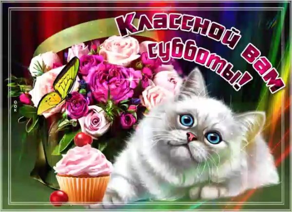 классной субботы