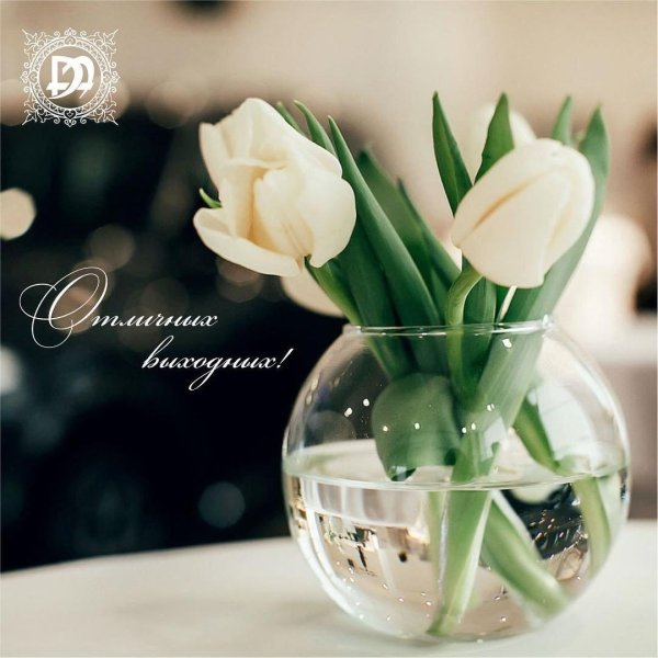 ваза тюльпанов
