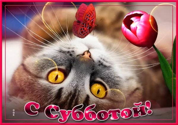 добрая суббота