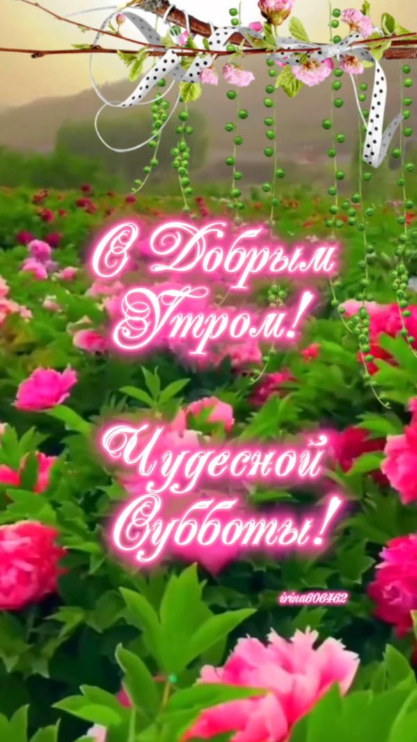 суббота доброго утра