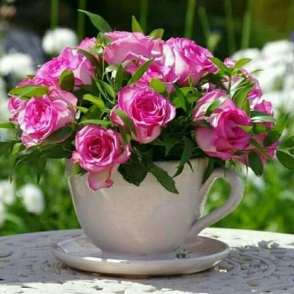 цветы и доброе утро