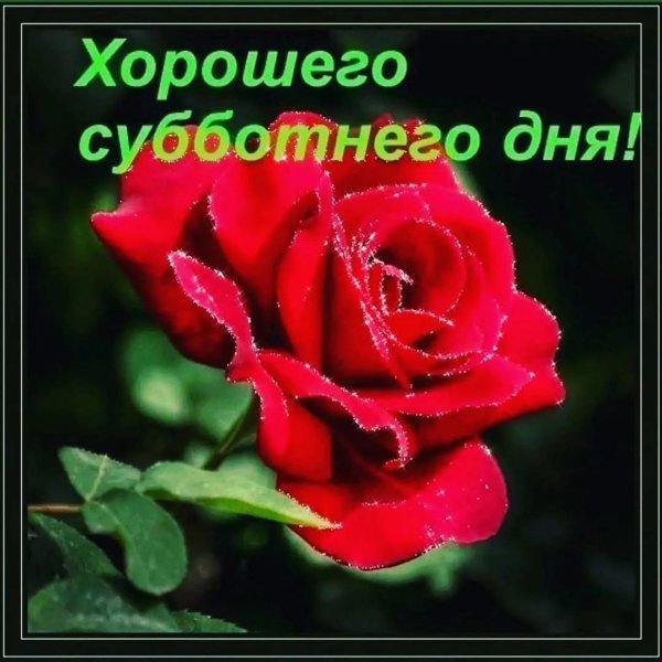 хорошего субботнего дня