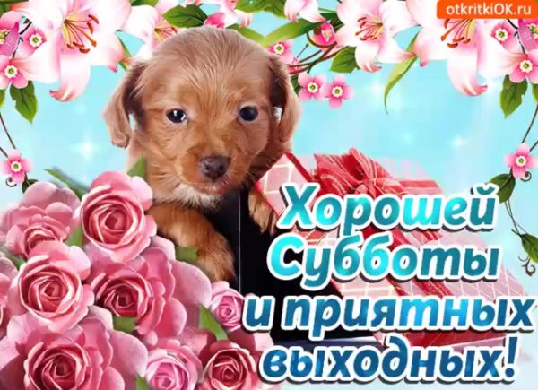 открытки прекрасных выходных