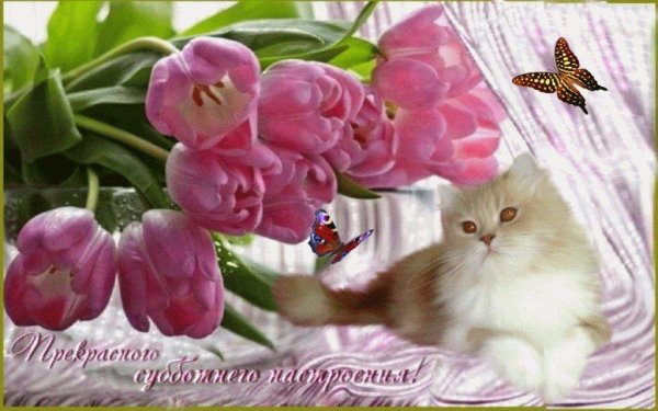 чудесного весеннего настроения