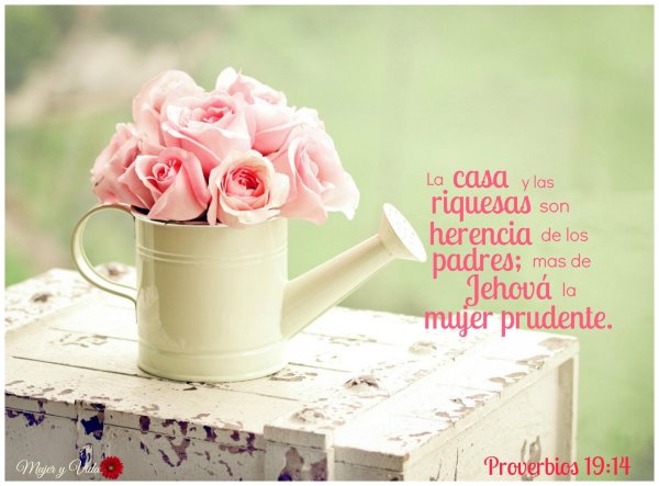 цветок нежный