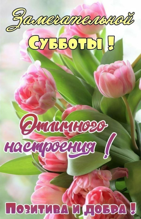 цветы суббота