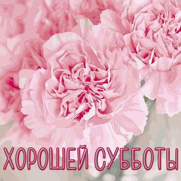 доброе пожелание