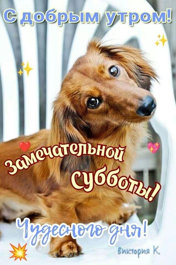 добрая суббота