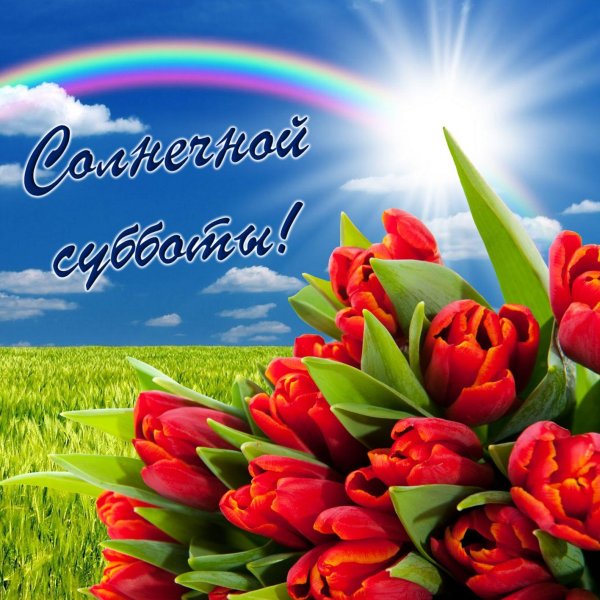 солнечной субботы