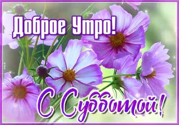 с субботой доброе утро