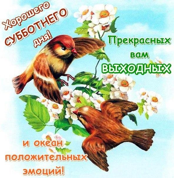 путешествие красноголового воробья бианки