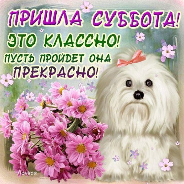 классной субботы