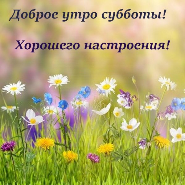 доброго утра суббота