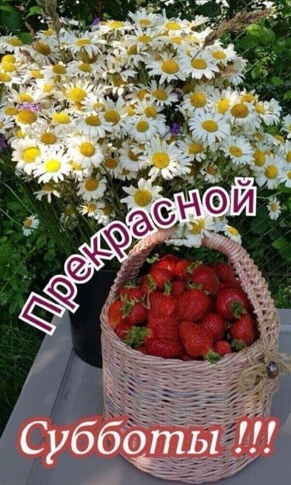 клубника в корзинке