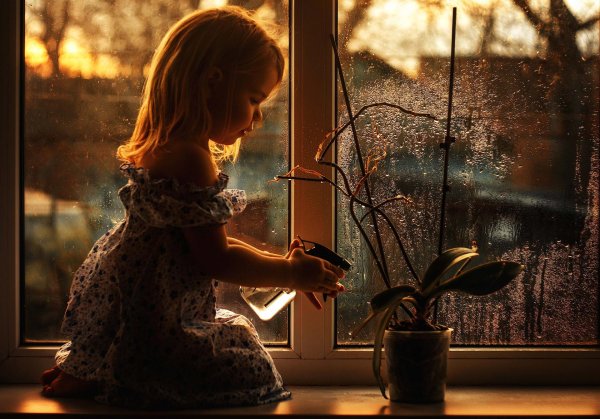 Девушка у окна