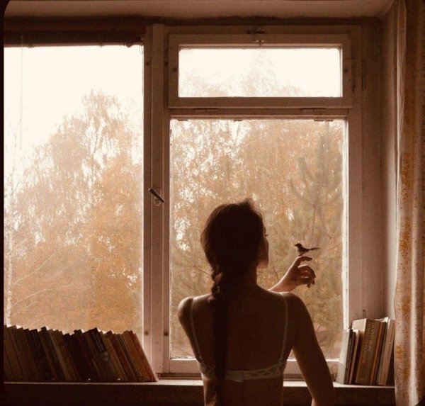 Девушка у окна