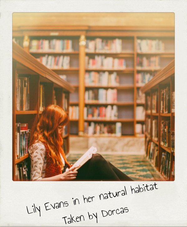 Девушка с книгой