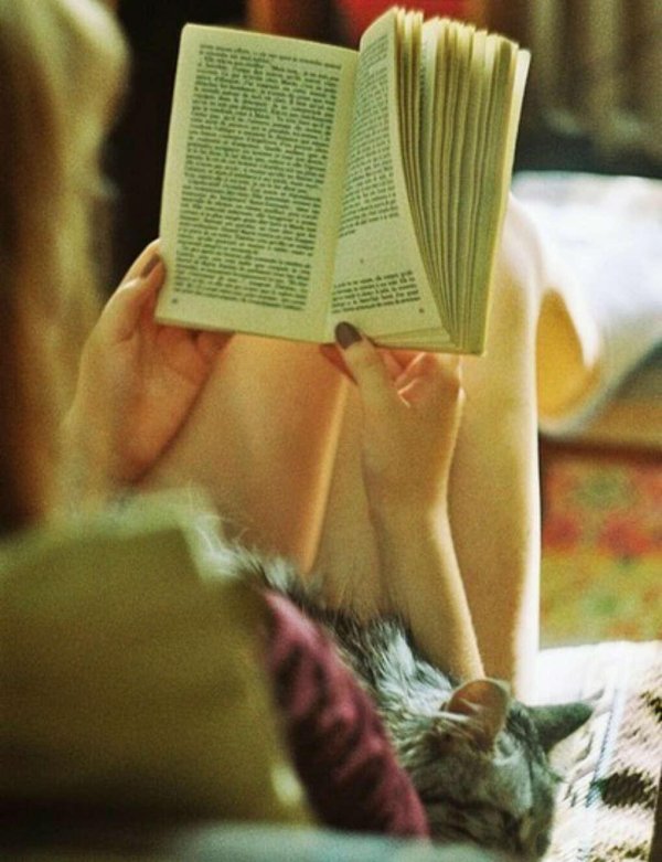 Девушка читает книгу