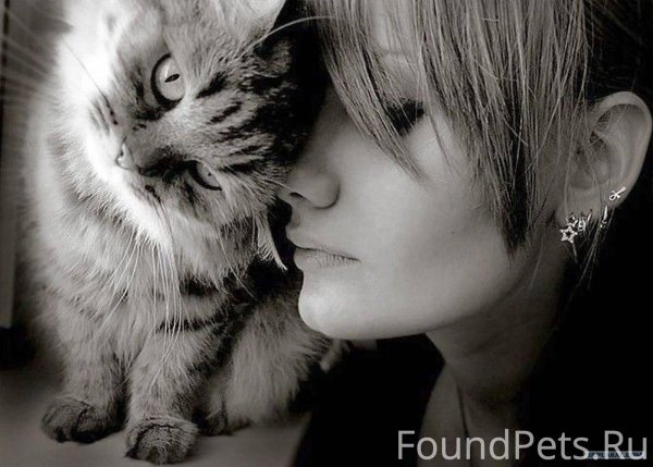Девушка с котом