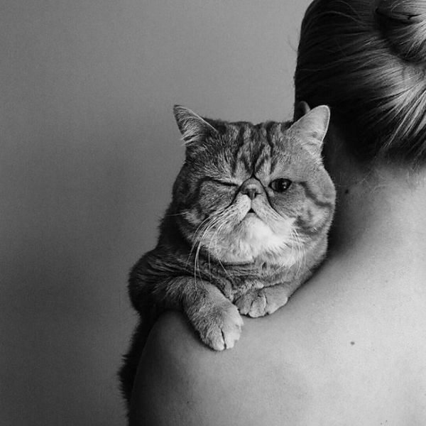 Девушка с котом