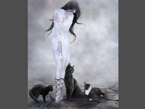 Девушка с котом