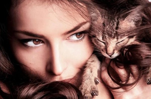 Девушка с котом