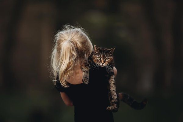 Девушка с котом