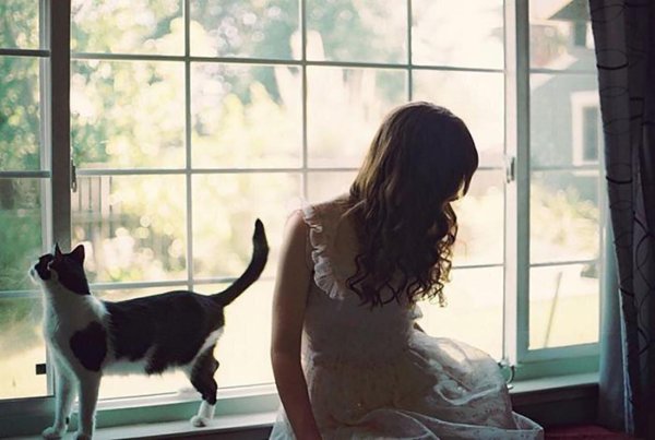 Девушка с котом