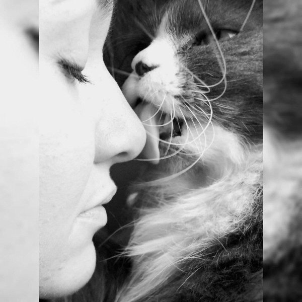 Девушка с котом