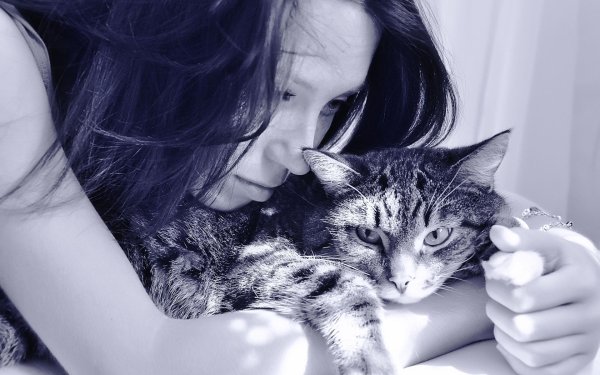 Девушка с котом