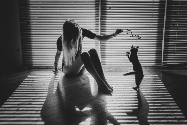 Девушка с котом