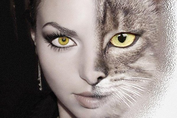 Девушка с котом