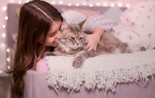 Девушка с котом