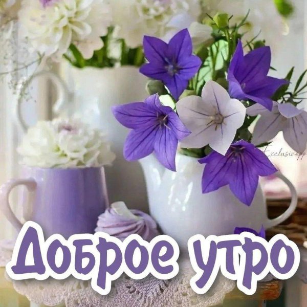 Девушка желает доброго утра