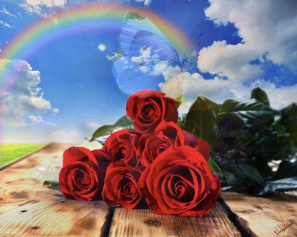 розы поздравление