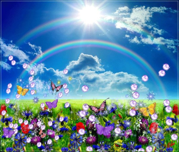 наконец то лето