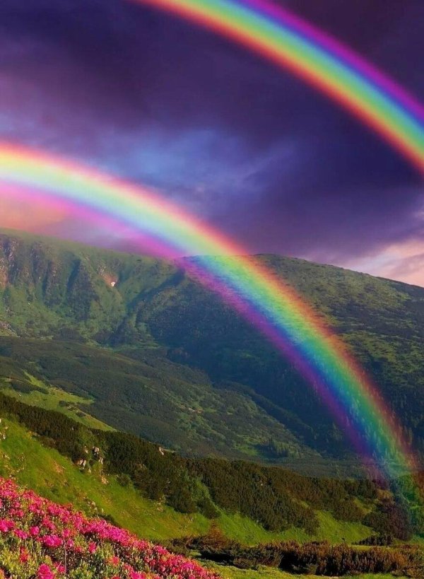 природа с радугой