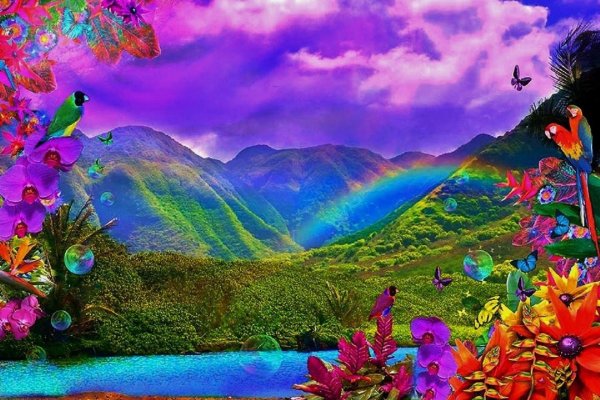 радужный мир