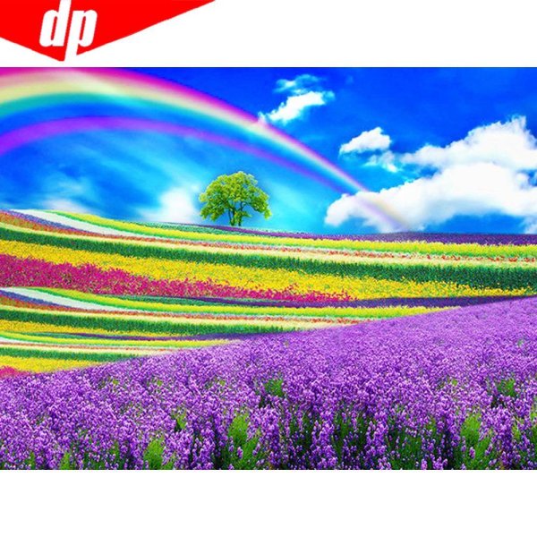 лавандовое поле