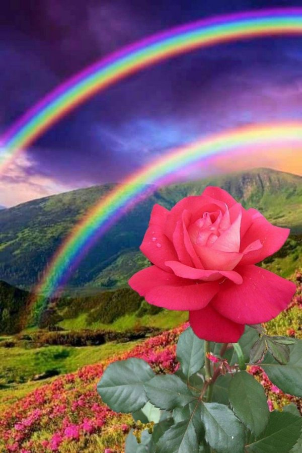 магия радуги
